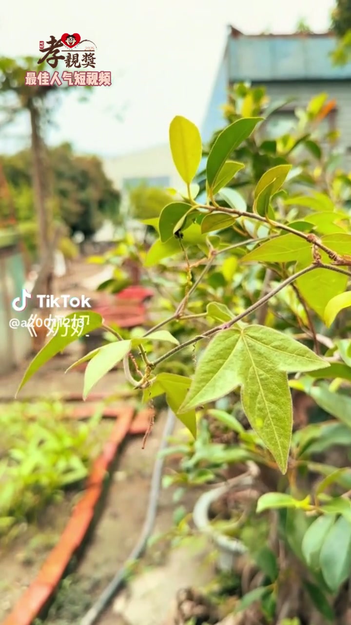 港澳台及海外地区封面2